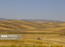 برآورد سطح زیرکشت ۳ محصول استراتژیک با فناوری فضایی