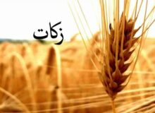 جشنواره زکات در چهارمحال‌وبختیاری برگزار می‌شود