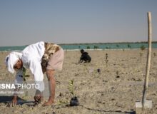 وقتی فعالین زیست محیطی به کمک احیای “سرزورزوما” می‌آیند