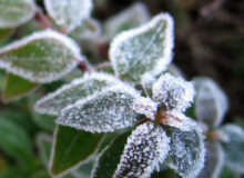 سرما و یخبندان تا چهارشنبه در خراسان جنوبی ماندگار است