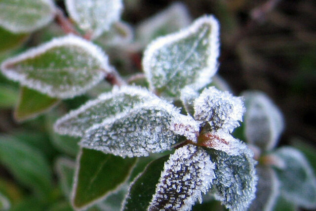 سرما و یخبندان تا چهارشنبه در خراسان جنوبی ماندگار است