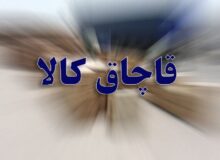 توقیف محموله ۲۰ هزار عددی سرم قاچاق در الیگودرز