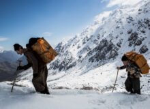 لایحه نظارت بر کولبری و ملوانی اصلاح شد