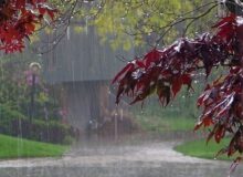 آخرین وضعیت جاده‌های کشور؛ امروز پنجشنبه ۲ فروردین / ترافیک سنگین در چالوس و هراز