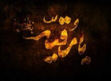 دل غساله هم از پیکر پرتاولت خون شد