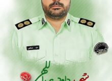 روایت شهید مدافع امنیت از کردستان تا لرستان/عهد با وطن تا پای جان – خبرگزاری مهر | اخبار ایران و جهان