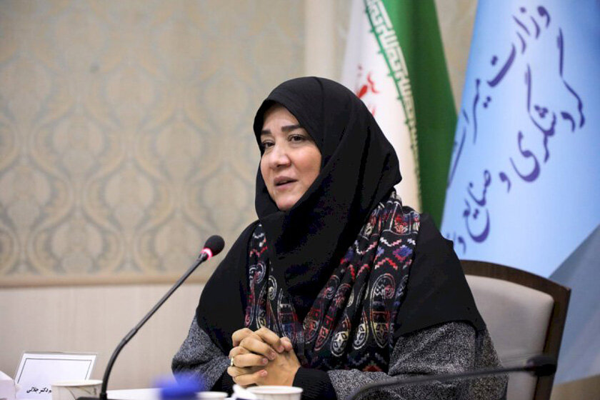 صنایعدستی نقش موثری در ترویج فرهنگ حجاب و عفاف بر عهده دارد