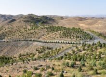 درختکاری در ارتفاعات با مشارکت مردم، فرهنگ‌سازی شود