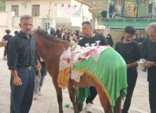 آیین ذوالجناح خوانی و تجلیل از پیرغلامان