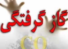 جان باختن ۲ نفر در لرستان بر اثر گاز گرفتگی