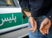 افزایش ۱۳درصدی کشفیات سرقت در سایه اجرای طرح‌های امنیت محله‌محور