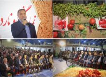 برگزاری “ناردونه” در شهر یاقوت سرخ