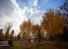 آخرین وضعیت آلودگی و پاکی هوا در کلان‌شهرهای ایران، آذر ۱۴۰۲