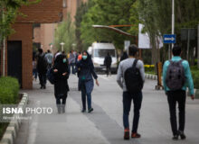 برنامه وزارت علوم برای بورسیه ۵۰ درصد دانشجویان کشور/ تضمین شغلی ۱۰۰ درصدی بورسیه‌ها