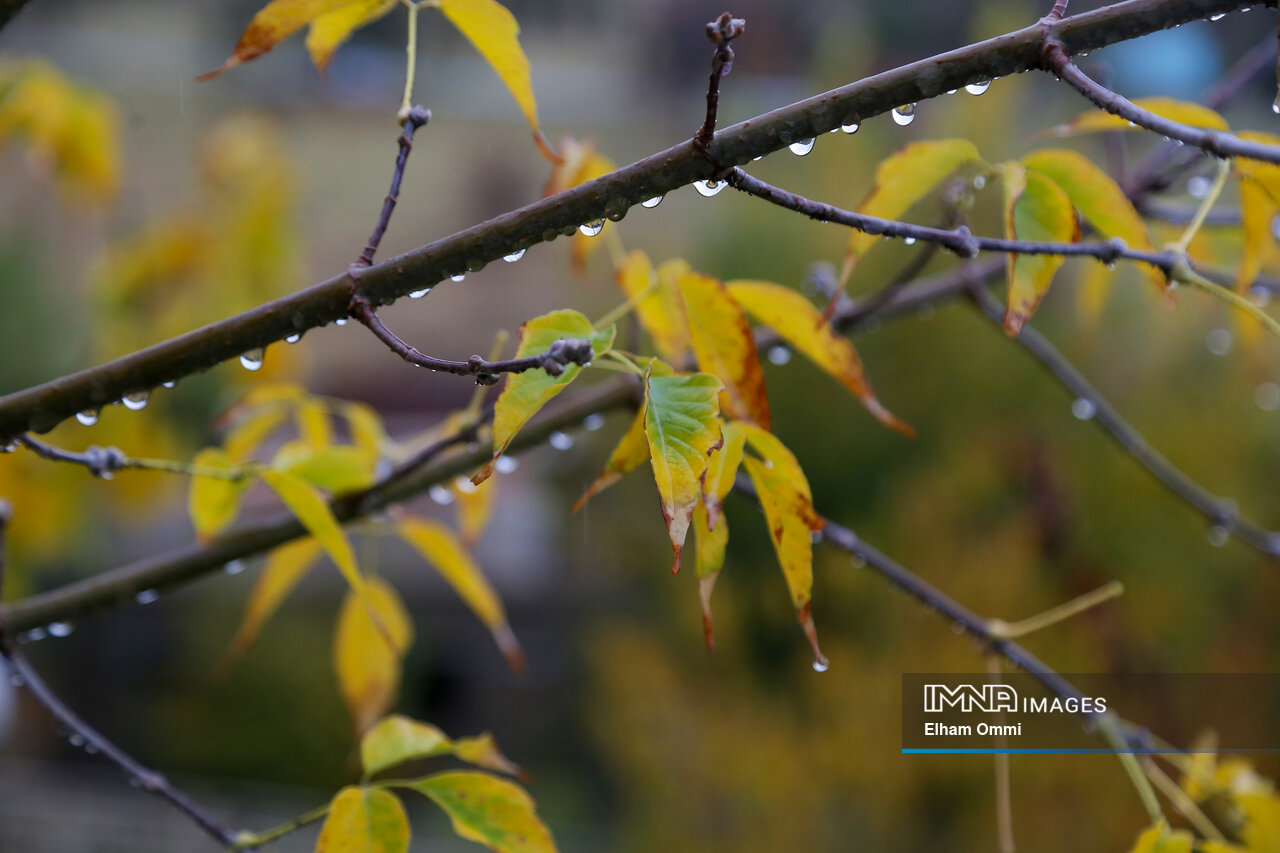 بارندگی و سرما در اصفهان تداوم دارد/ ثبت دمای ۸ درجه زیر صفر در استان