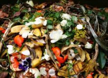 تلاش‌ برای کاهش ضایعات غذایی جهانی به فضا رسید