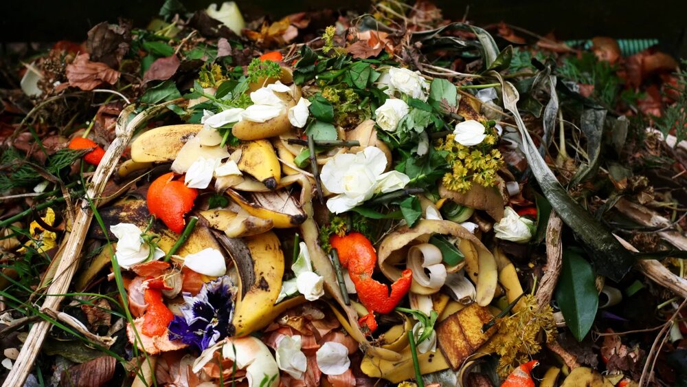 تلاش برای کاهش ضایعات غذایی جهانی به فضا رسید
