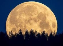 ماه کامل را رصد کنید