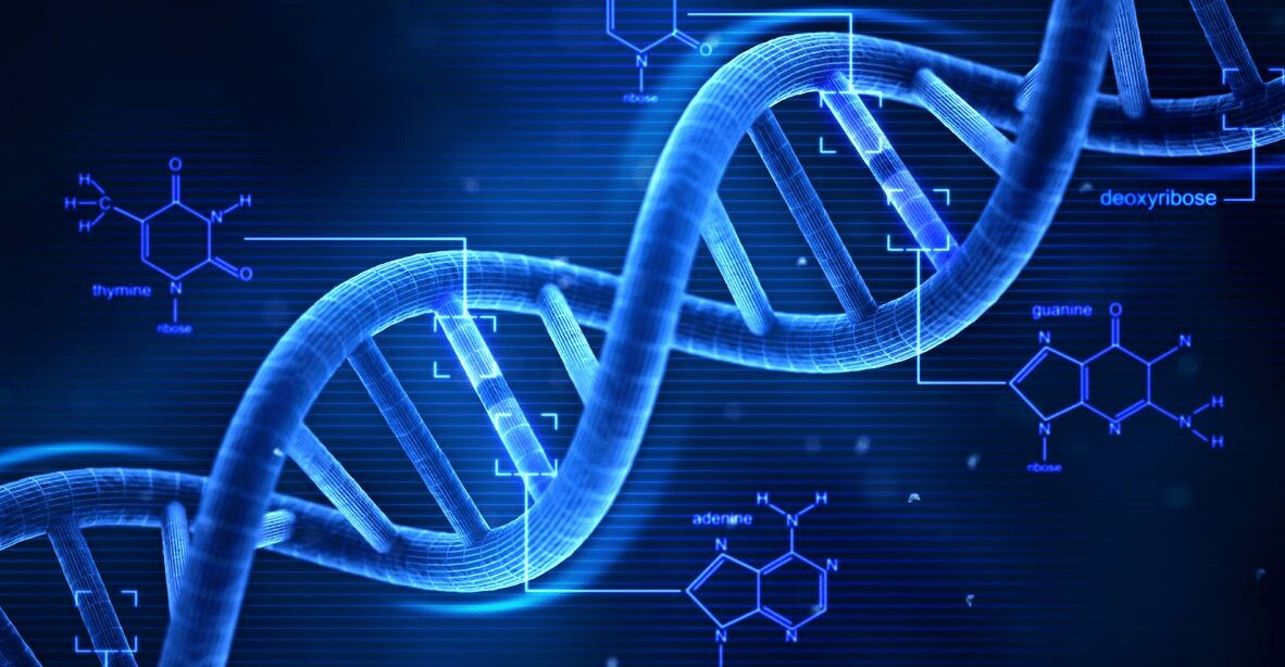 کنترل آسیب DNA در سرطان با نقش شگفت‌انگیز IMPDH۲