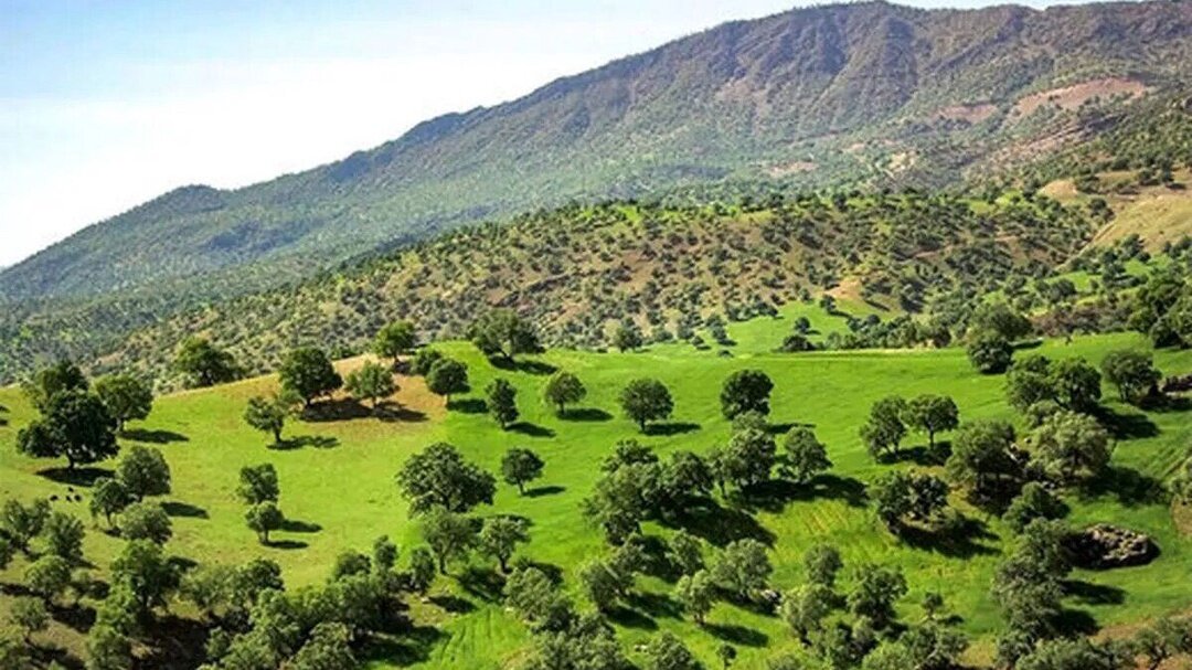 تأکید رئیس سازمان منابع طبیعی بر استمرار مأموریت‌ها در پی مصوبه اخیر شورای عالی اداری