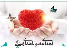 از اهدای اعضای بانوی اصفهانی تا قایقرانی از لندن تا جده برای حج