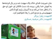 جان شیرینت فدای خاک پاک میهنت شد