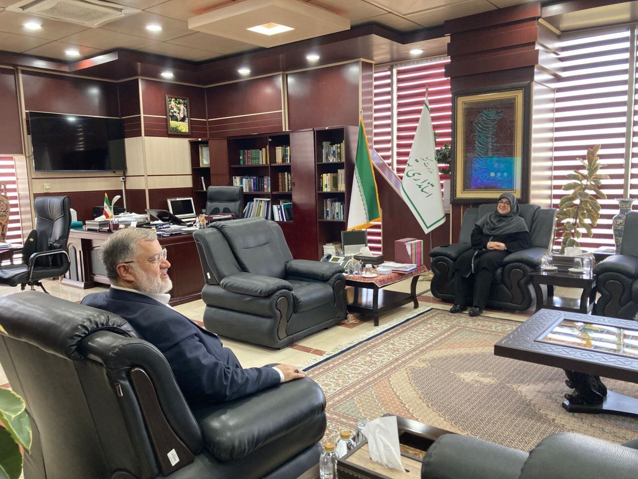 نظام مسائل استان تهران؛ محور دیدار سخنگوی دولت با استاندار