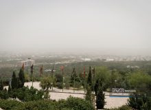 نسخه‌ای از طبیعت برای نبرد با آلودگی هوا