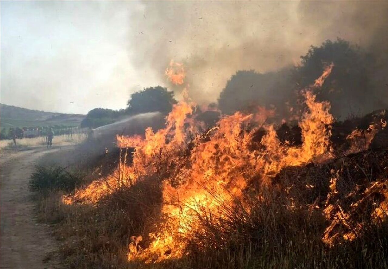 آخرین جزئیات حریق در مراتع گشنیزجان