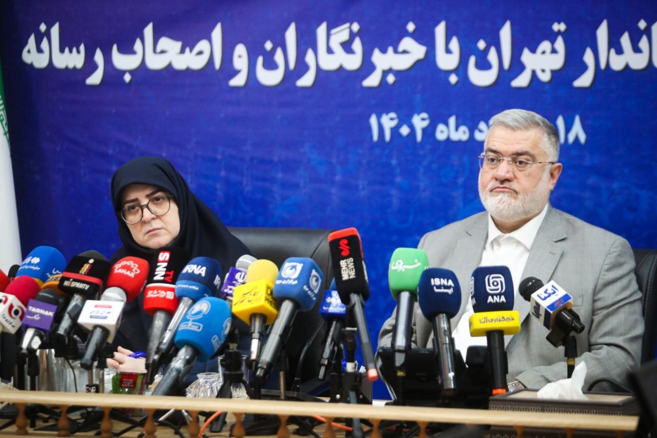 سخنگوی دولت: تصور جامعه بدون خبرنگار هولناک است