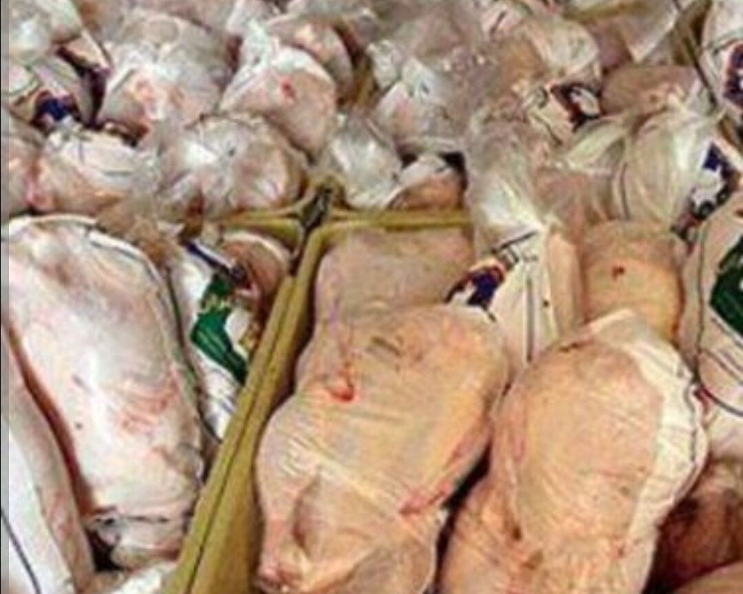 بیش از ۷۷۰۰ کیلوگرم مرغ فاسد در همدان کشف و معدوم شد
