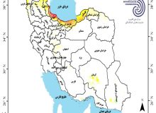 وضعیت بارندگی ایران در سال زراعی ۱۴۰۴ | پیش بینی بارش استان ها و تحلیل کارنامه بارش کشور