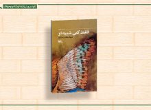 کتاب «فقط کمی شبیه او» منتشر شد