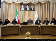 کارگروه‌های تخصصی بانوان در آذربایجان شرقی تشکیل شود