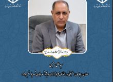 ۶۸۹ نفر در انتخابات شورای اسلامی شهر در شهرستان شهریار داوطلب شدند