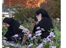این یک عکس ساده نیست!