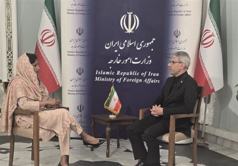 بقایی: تا وقتی عضو NPT هستیم حق بهرهمندی از انرژی هستهای را داریم