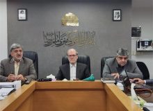 تاکید مشاور عالی وزیر فرهنگ بر ارتقای تاب‌آوری جامعه با تکیه بر سیره امام رضا (ع)