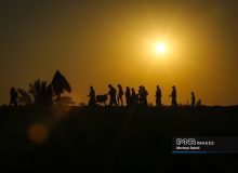 قدمهای عاشقی زیر آفتاب سوزان در جادهای طولانی به شوق حسین (ع)
