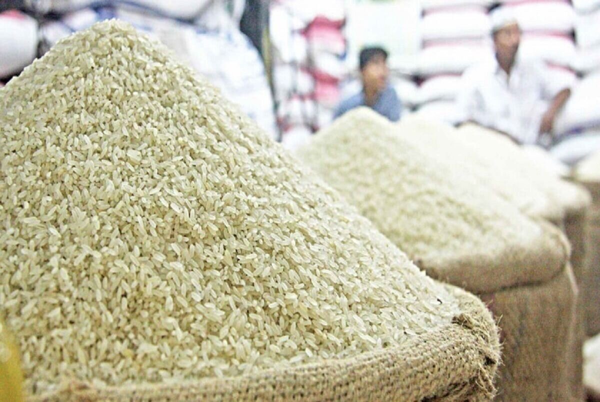 رمزگشایی وزارت جهاد از گرانی برنج