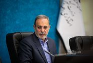 مجوز هیچ تشکلی در دولت چهاردهم لغو نشد/نقش سمن‌ها در انعکاس جنایات مدرسه میناب به دنیا