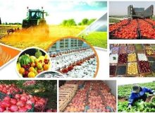 بهره‌مندی ۱۵ هزار خانوار اصفهانی با افتتاح ۶۶ پروژه کشاورزی در هفته دولت