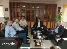 پیگیری زیرساختهای برق در رضوانشهر