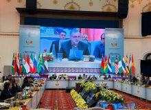 نماینده ایران زبان فرهنگ را راهکار صلح جهانی دانست/ از حضور فعال در کارگروه فرهنگی بریکس تا توافقات کلیدی با اندونزی و هند