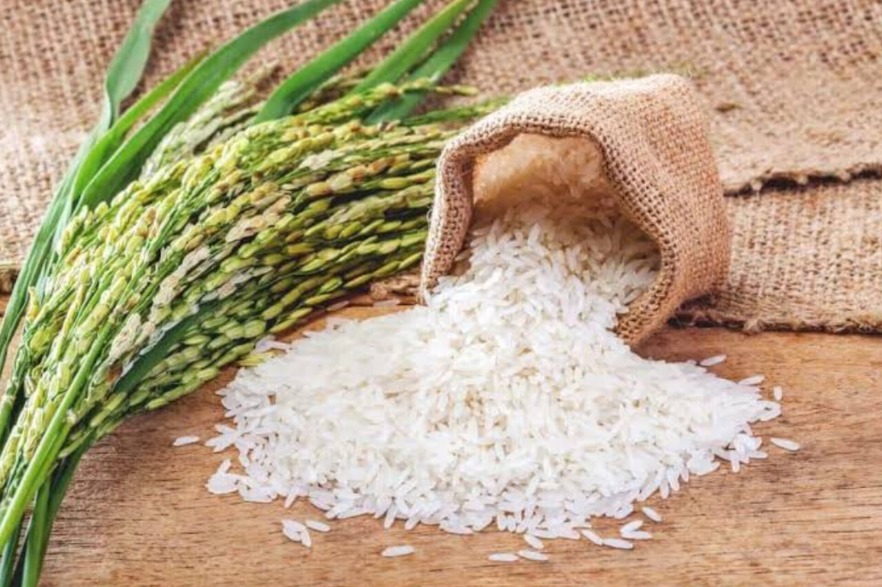 آغاز ثبت سفارش واردات برنج سفید و غیرسفید برای ۶ ماه