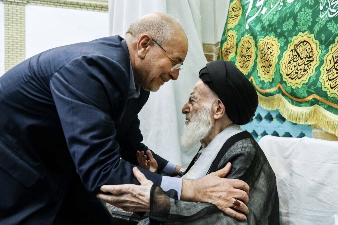 رئیس مجلس درگذشت آیتالله شبیری زنجانی را تسلیت گفت