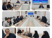 نودوچهارمین جلسه شورای اطلاع رسانی خراسان جنوبی برگزار شد/