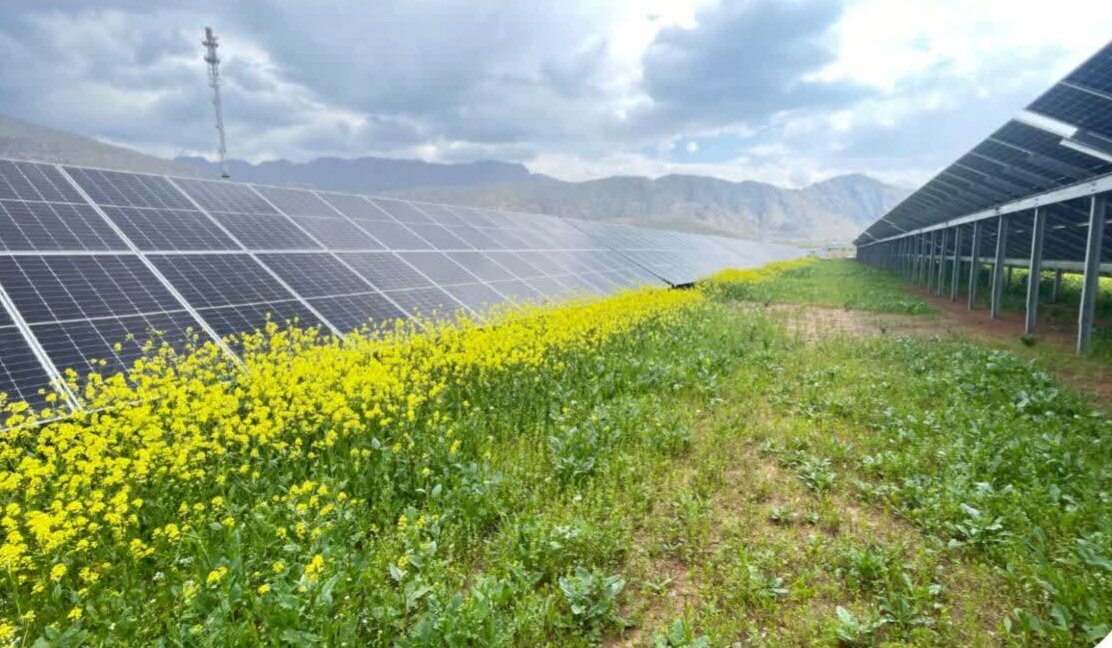 افزایش ۲۰ مگاواتی ظرفیت نیروگاههای خورشیدی اصفهان تا پایان سالجاری