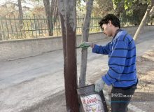 پایش ۱۲۲ هزار درخت در پارک کوهستانی صفه برای کنترل آفات