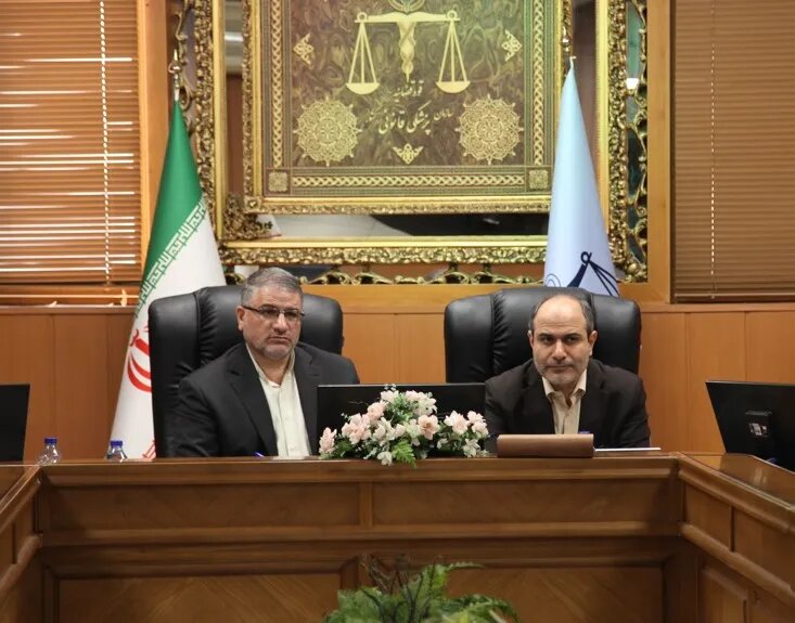 تأکید رئیس سازمان پزشکی قانونی بر راهاندازی سریعتر نرمافزار تخصصی